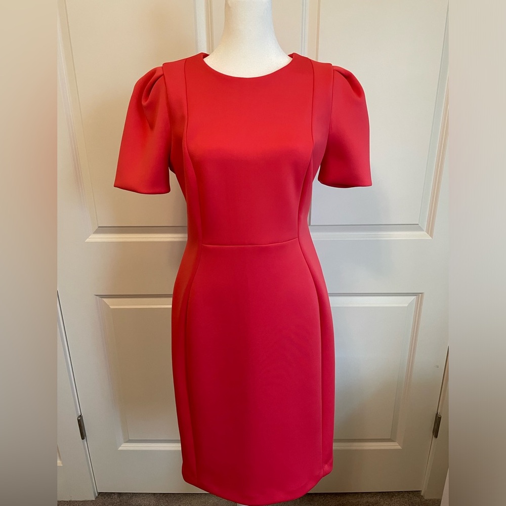 Calvin Klein Puff Sleeve Dress